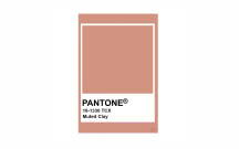 Kolory Pantone - Muted Clay