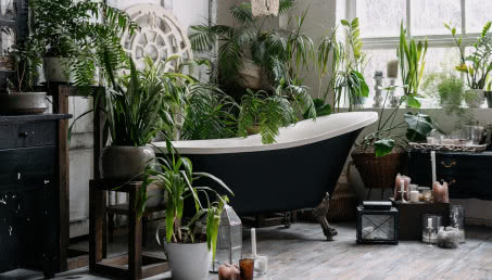 Urban Jungle - żadna inna aranżacja wnętrza bardziej Cię nie zaskoczy!