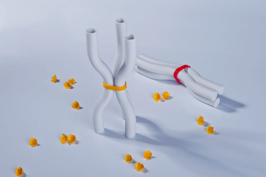 Trzy w jednym
Wazon Trórka budują trzy...