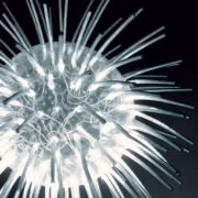 Wisząca lampa Critters składa się z...