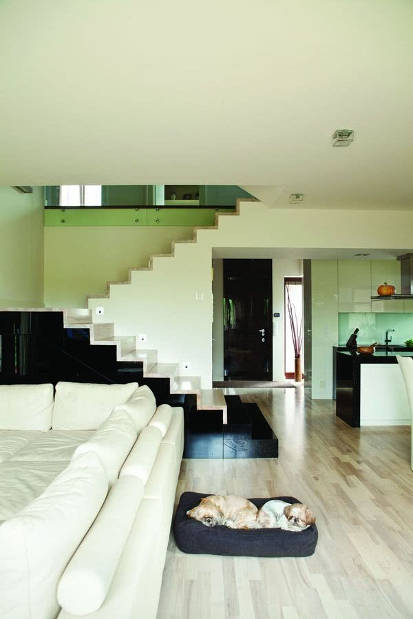 Głównym zamysłem projektantów było uzyskanie...