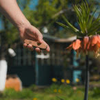 Scyzoryk na wiosenne prace w ogrodzie