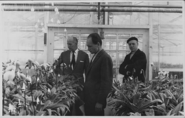 W szklarni - archiwum Marcina Rusaka