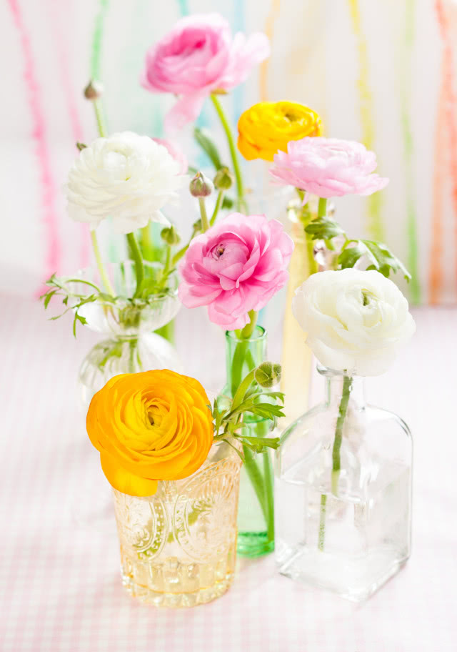 Uprawa jaskrów w domu i ogrodzie - pielęgnacja, rozmnażanie, odmiany