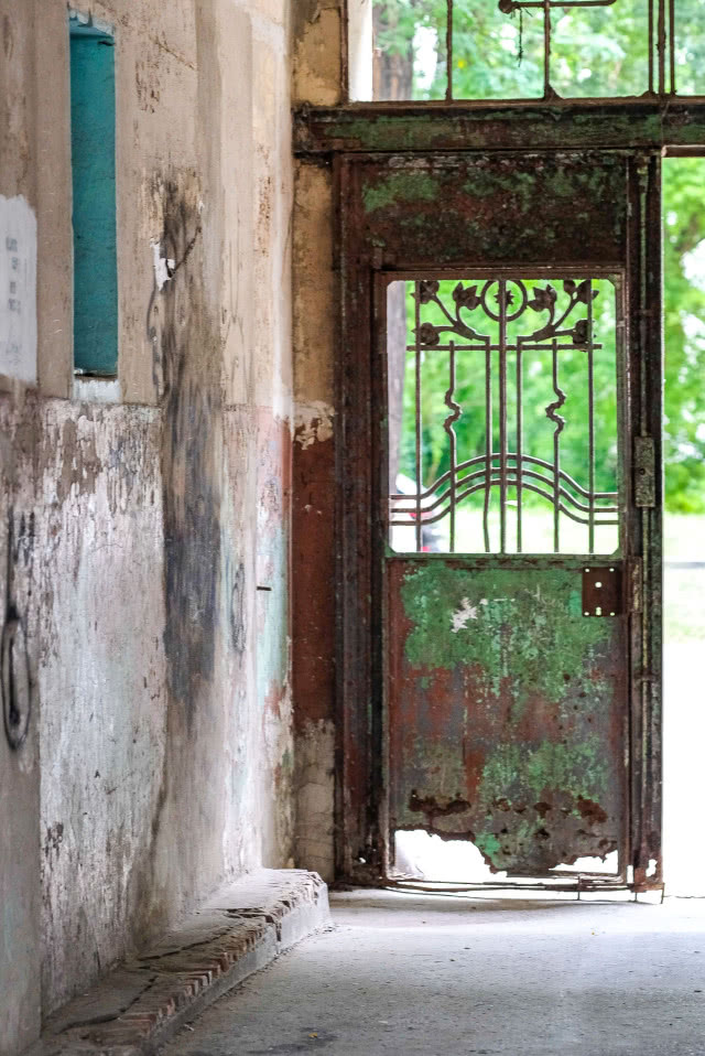 zardzewiałe drzwi w bramie