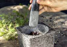 Moździerz PRESIDENT - naturalny kamień, który wydobywa pełnię smaku 