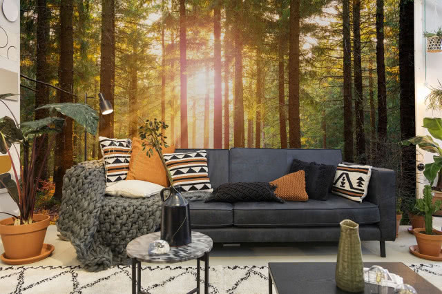 Fototapeta "Uspokajający las"