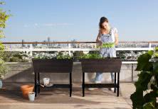 Zamień balkon w ogród marzeń - stylowe donice Keter dla miłośników natury 