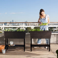 Zamień balkon w ogród marzeń - stylowe donice Keter dla miłośników natury