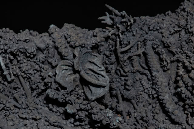 Kolekcja Tephra - fragment