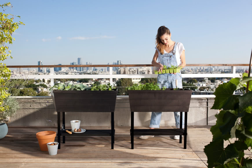 Zamień balkon w ogród marzeń - stylowe donice Keter dla miłośników natury