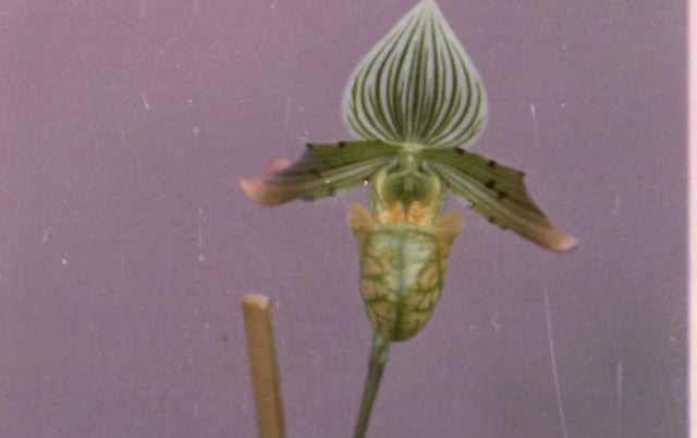 Stara fotografia - archiwum Marcina Rusaka