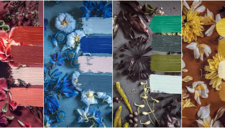 Tikkurila ogłosła kolor roku 2019!