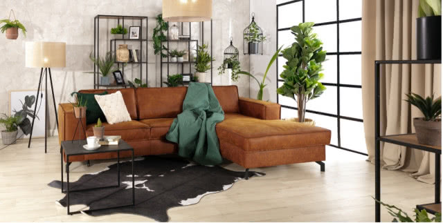 narożnik, zielony koc, dywan ze skóry, lampa podłogowa, duże zielone kwiaty w doniczce, duże okno, zasłony, regały, stolik kawowy