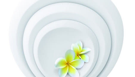 Kupujemy zastawy stołowe