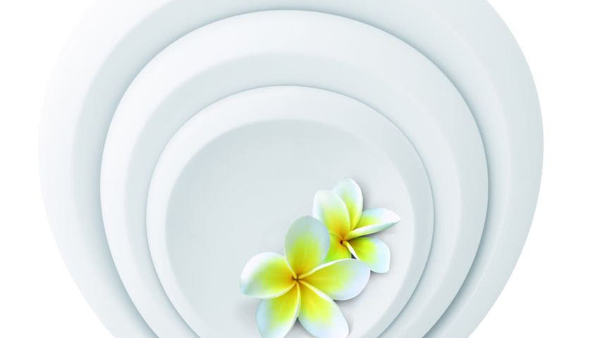 Kupujemy zastawy stołowe