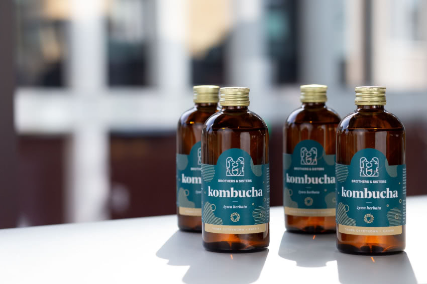 Kombucha Design Futu. Fot. Karolina Walawender