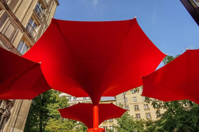 parasol jak kwiat
