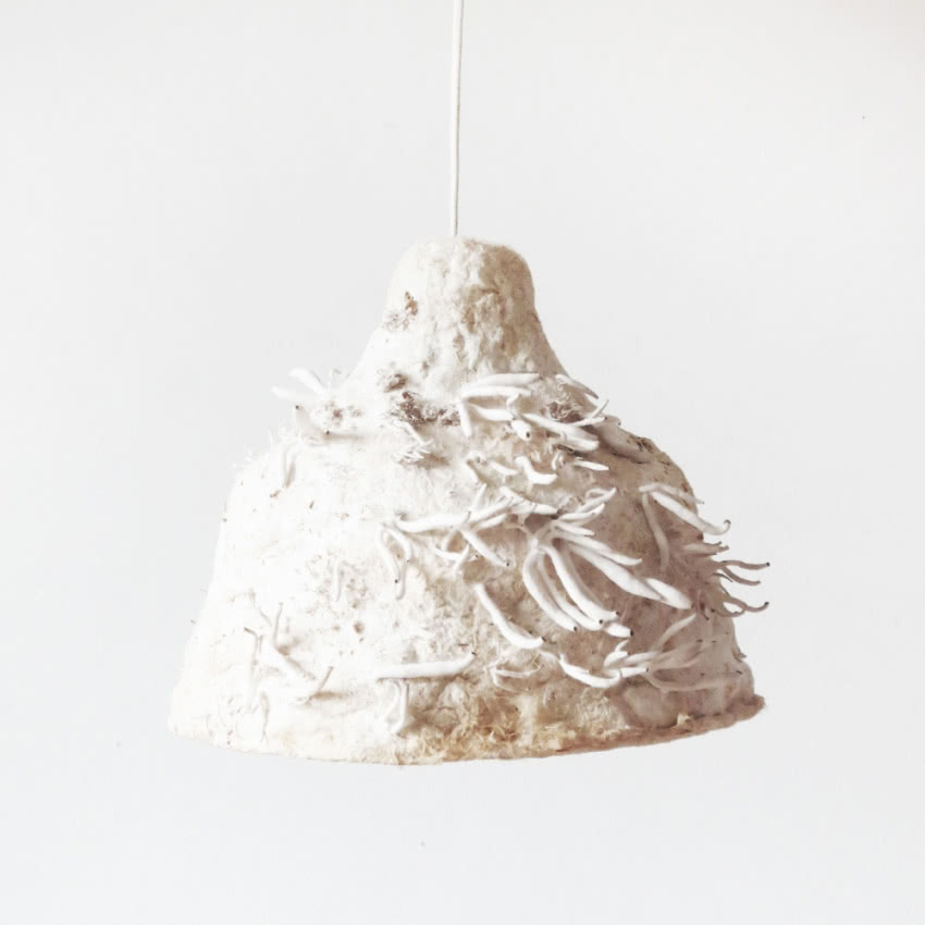 Lampa MYX z pozostałości po hodowli grzybów -...