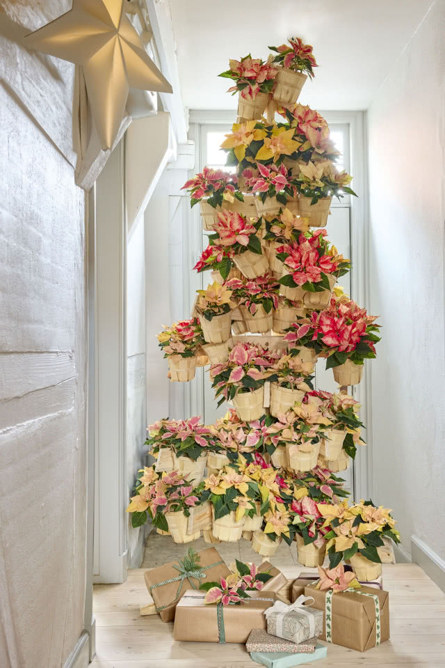 choinka zrobiona z kwiatów 