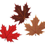 Szklany dzbanek Honeycomb, ZARA HOME - 99 zł