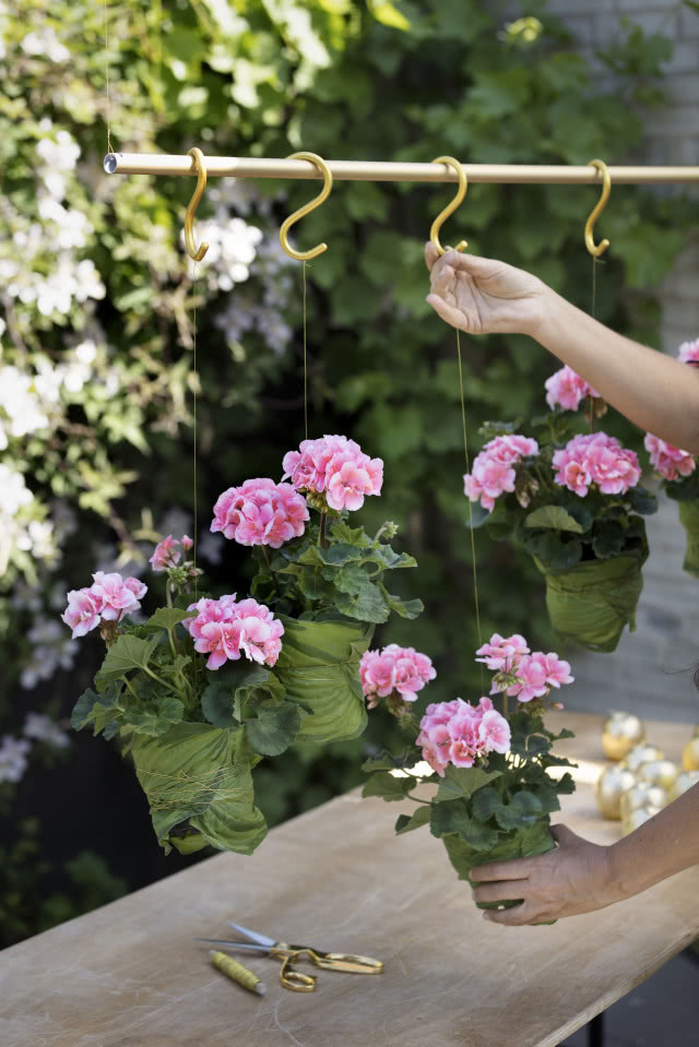 kwitnące pelargonie na haczykach