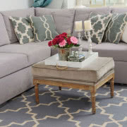 Dywan Imperial Trellis ma wyraźną, trójwymiarową...