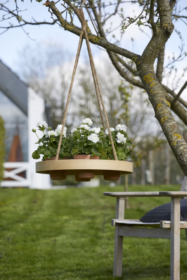 białe kwitnące pelargonie na wiszące na gałęzi huśtawce