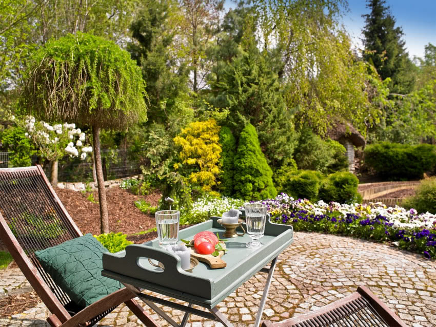 Bujne drzewa i krzewy o różnych formach i...