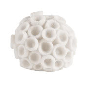 Plakat SZTORM, Donna Delaney, Norsu Interiors,...