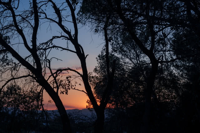 widok na wzgórza i drzewa o zachodzie słońca