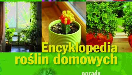 Encyklopedia roślin domowych