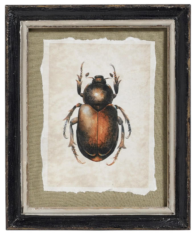 Obrazek z wizerunkiem żuka, Nordal