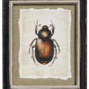 Kolekcja kielichów Sugar Dandy, Kosta Boda
