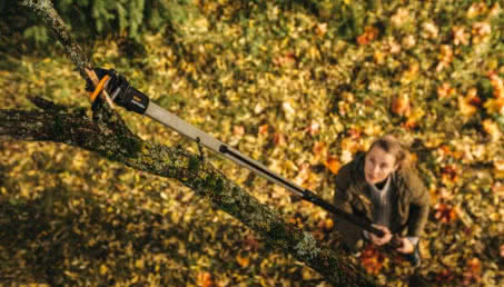 Jak przygotować ogród na nadejście zimy?