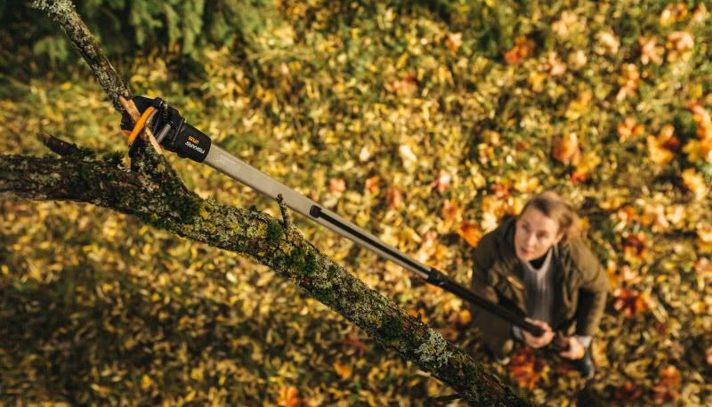 Jak przygotować ogród na nadejście zimy?