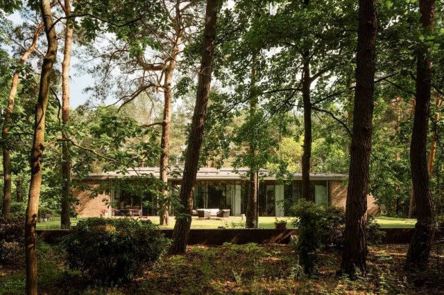 dom w lesie przeszklona fasada