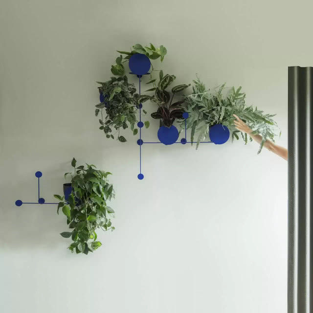 Kwietnik Floos, Bujnie