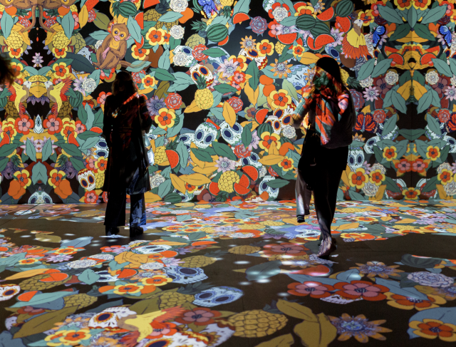 wystawa immersyjna Fridy Kahlo - podłoga obrazem