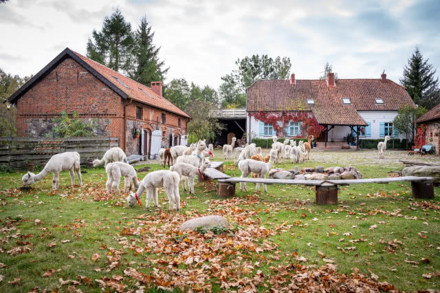 klimatyczne siedlisko w Polsce w stylu rustykalnym