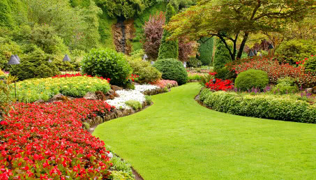 Ogród francuski - jak wygląda i jak go zaplanować?