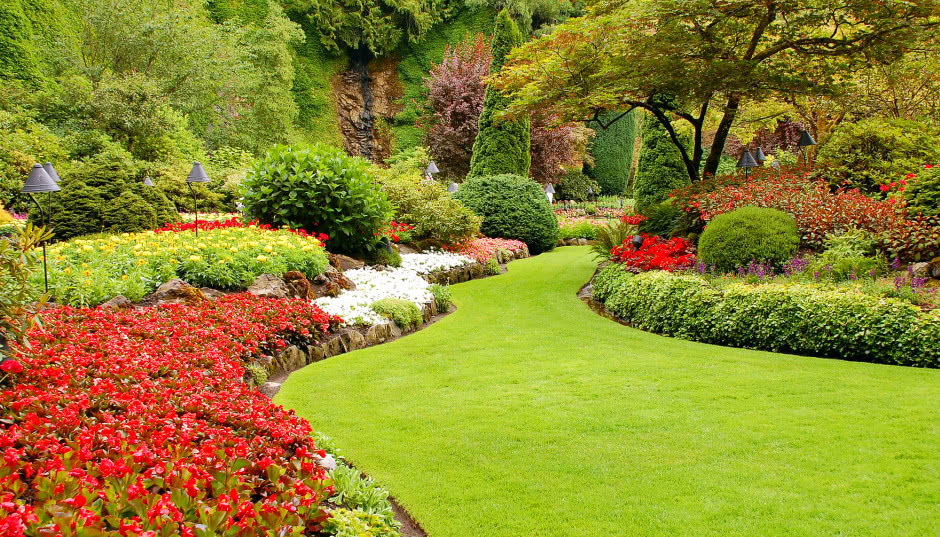 Ogród francuski - jak wygląda i jak go zaplanować?