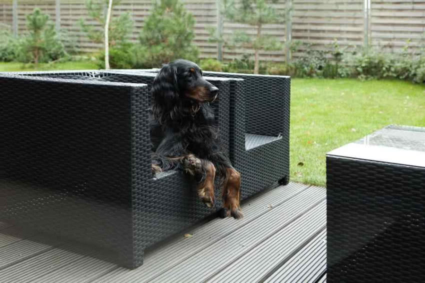 Na tarasie chętnie wypoczywają wszyscy...