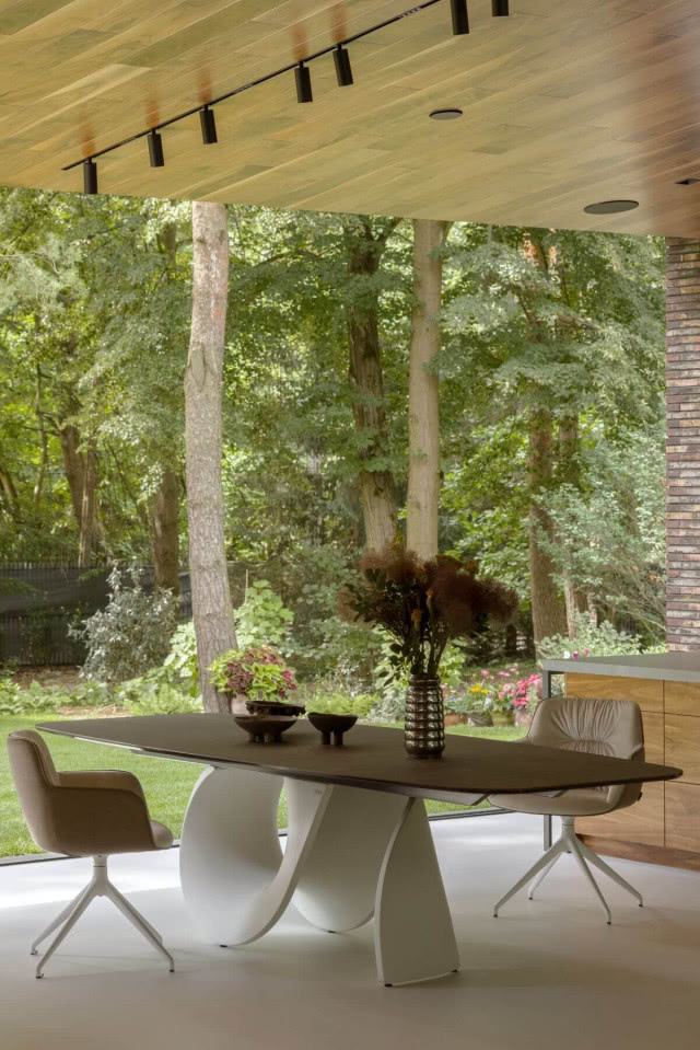 roślinność widok z wnętrza domu