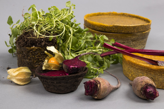 naczynia z obierek i części warzyw