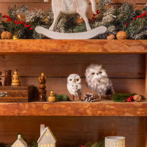 Naturalna stylizacja wigilijnego stołu