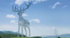 Słupy linii wysokiego napięcia przekształcone w rzeźby zwierząt. Sztuka na styku technologii i wyobraźni