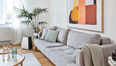 Nawilżacz powietrza - sprzymierzeniec roślin