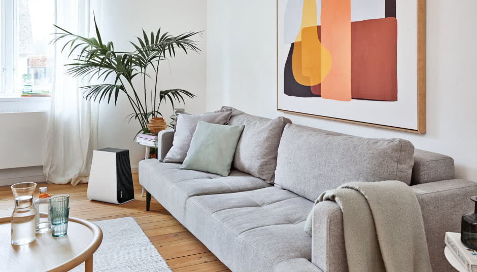 Nawilżacz powietrza - sprzymierzeniec roślin