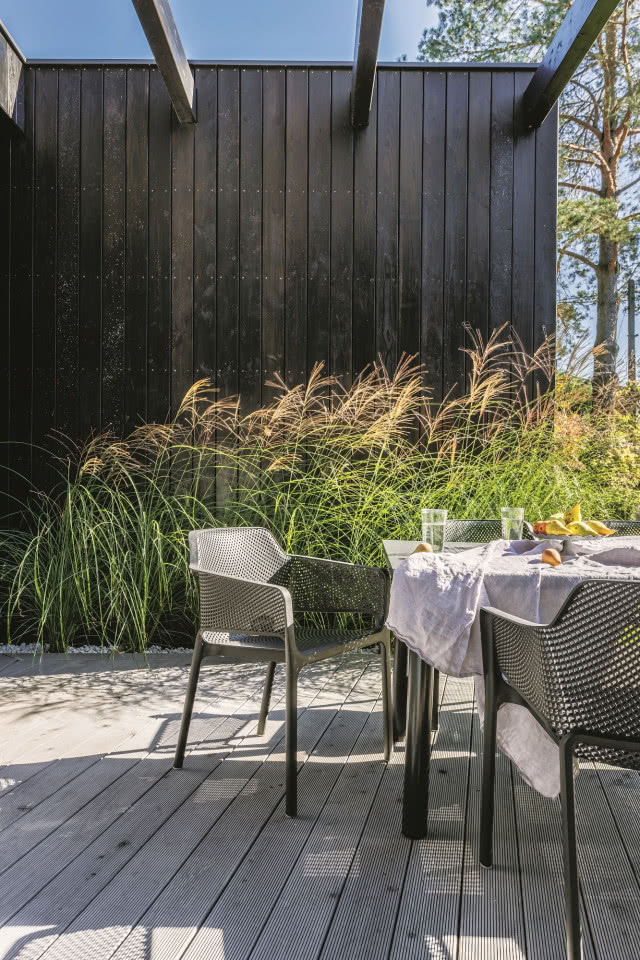 Trawa pampasowa na tarasie